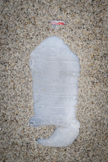 Plastic bottle with red cap lying in the sand on the beach, symbolising pollution and human waste,