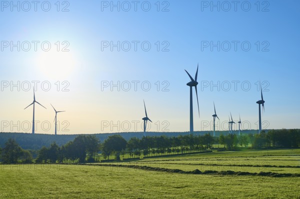 Wind turbines stretch under a sunny sky over a green landscape, summer, Rohren, Monschau, Eifel,