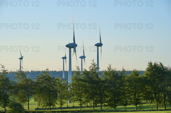 Several wind turbines tower above the trees, embedded in a green landscape, summer, Rohren,