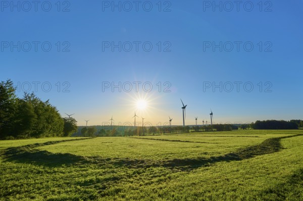 A group of wind turbines rises above a wide meadow in the light-flooded morning sky, summer,