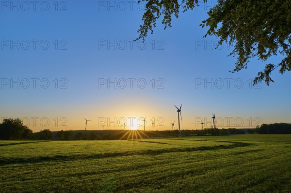 Wind turbines stand in a meadow while the sun rises gently on the horizon and provides light,