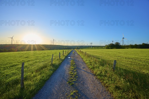 Field path with wind turbines in the background at sunrise, surrounded by green meadows, summer,