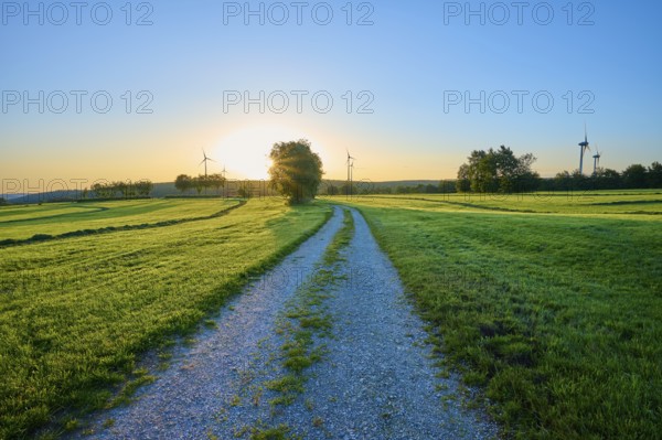 A gravelled path leads through a wide meadow glowing in the morning light, while wind turbines are