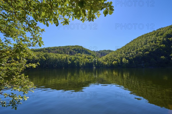 Clear blue sky over a calm lake, surrounded by green forest landscape, summer, Rursee, Obersee,