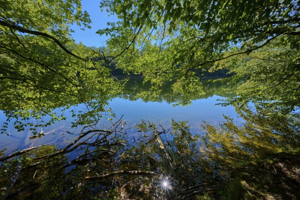 Tranquil water landscape under trees with natural reflection and clear sky, summer, Rursee,