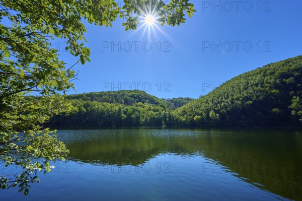 Sunbeams over a calm lake in the middle of a green forest with blue sky, summer, Rursee, Obersee,