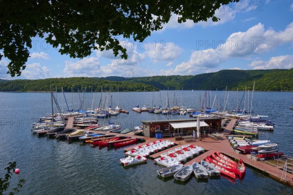 Boats and pedal boats on a jetty in a natural lake environment, summer, Rursee, Rurtalsperre,