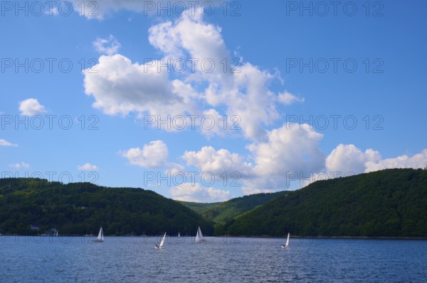 Several sailing boats sailing on a large lake between wooded hills under a blue sky, summer,