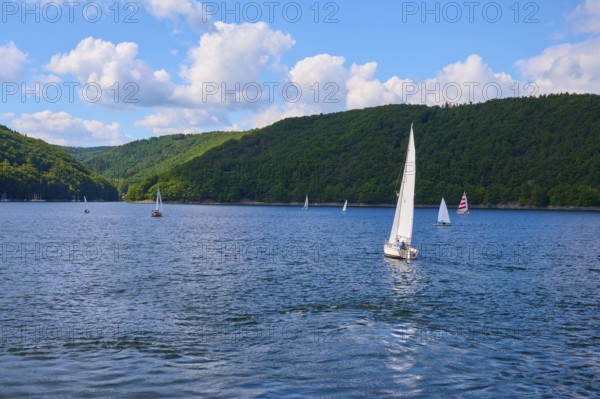 Several sailing boats gliding on a calm lake, with white clouds and blue sky, summer, Rursee,