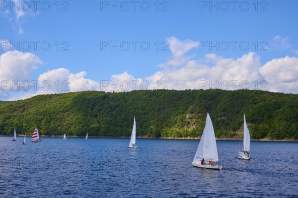 Sailboats sailing on the wide lake in front of a wooded hilly landscape, summer, Rursee,