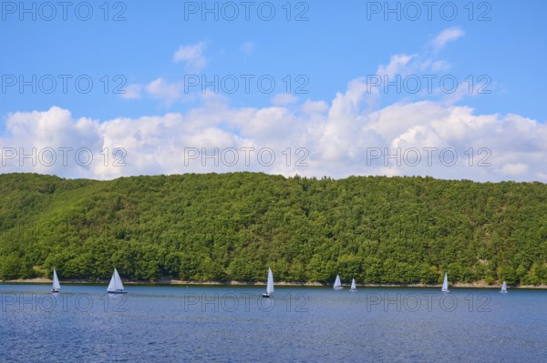 Small sailing boats sailing close to the wooded shore of a quiet lake under a blue sky, summer,