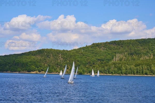 Several sailboats sailing on a lake in front of a wooded shore under a cloudy sky, summer, Rursee,