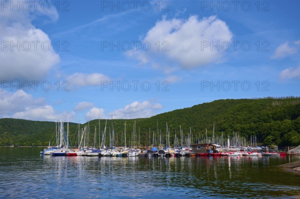 Harbour with many sailing boats in front of wooded hills, summer, Rursee, Rurtalsperre, Heimbach,