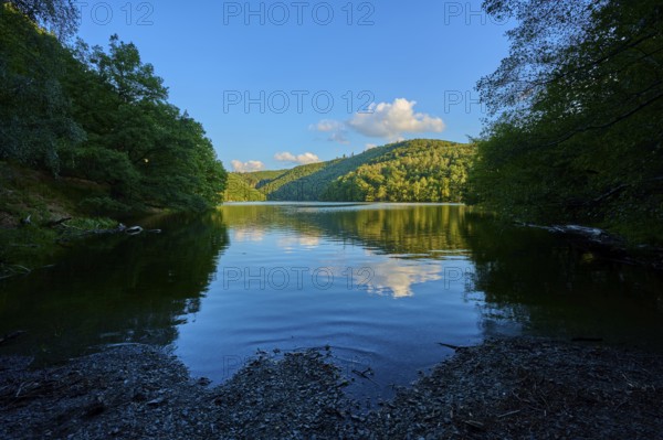 Calm lake with wooded shores under a clear sky, light clouds passing by, summer, Rursee, Obersee,