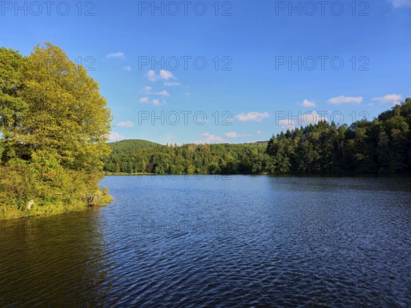 A calm lake with wooded shores and blue sky, summer, Rursee, Obersee, Simmerath, Eifel National
