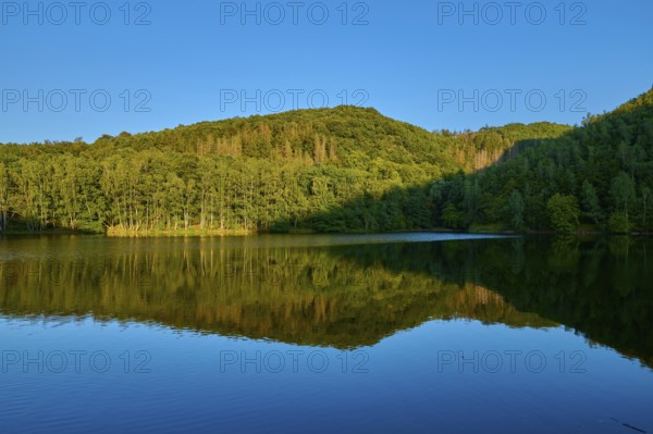 Forest reflection in a calm lake, surrounded by wooded hills, summer, Rursee, Obersee, Simmerath,
