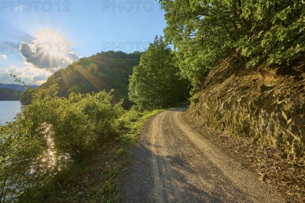 Sunlight shining through trees onto a forest path next to a rock face, summer, Rursee, Obersee,