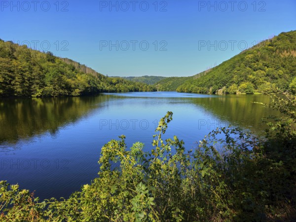 A quiet lake, surrounded by hills and forests under a blue sky, summer, Rursee, Obersee, Simmerath,