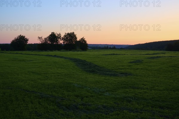 Green meadow at sunrise, with a colourful sky in the background, summer, Rohren, Monschau, Eifel,
