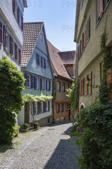 Historic row of houses, Altstadtgasse, lower Beutau, also known as WeingÃ¤rtnerviertel in the old