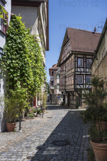 Germany's oldest half-timbered house in Webergasse, built in 1266, 1267, Esslingen am Neckar,