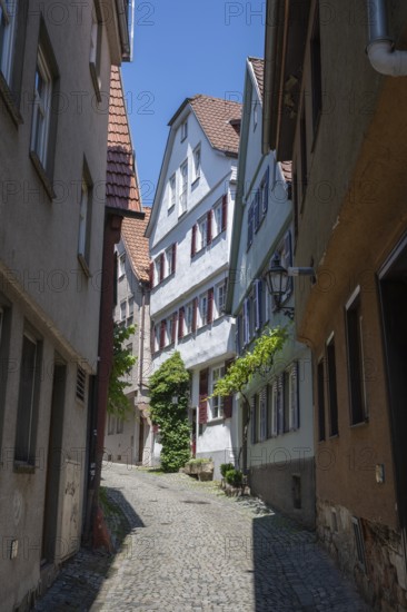 Historic row of houses, Altstadtgasse, upper Beutau, also known as WeingÃ¤rtnerviertel in the old