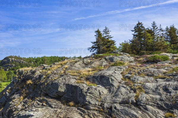 Wooded coastal landscape of granite rocks in the archipelago near Lysekil, BohuslÃ¤n, VÃ¤stra
