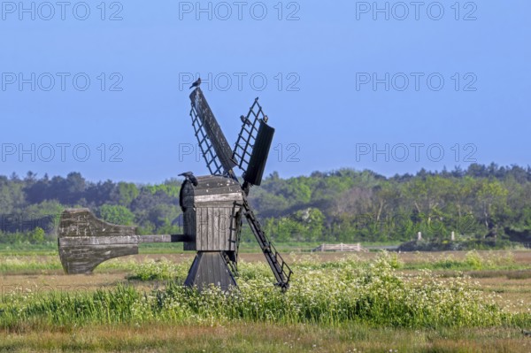 Little wooden meadow mill, small windmill used for drainage of fields and pastures in nature