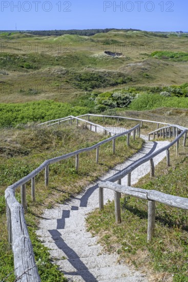 View from Bertusnol over dunes at De Nederlanden, part of nature reserve De Muy in the Nationaal