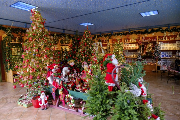 Christmas decorations, Christmas tree decorations manufacturer, glassblower, Neuhaus am Rennsteig,