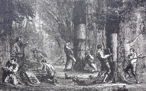 Extraction of cork bark from cork oaks, around 1860, Portugal, digitally enhanced reproduction of a