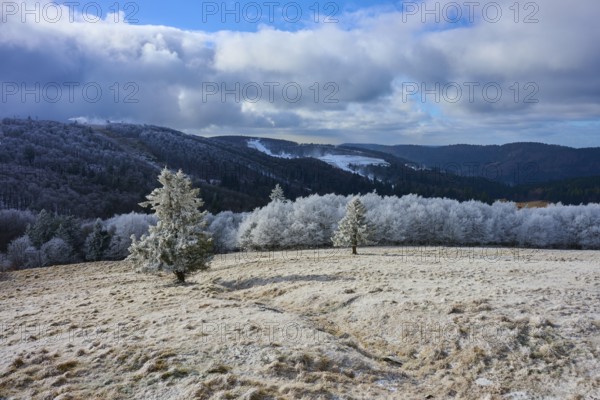 Winter landscape with snow-covered trees and mountains under blue sky, winter, Route de Cretes,