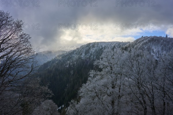 Winter mountain landscape with snowy trees under cloudy sky, winter, Col de la Schlucht, Le Valtin,