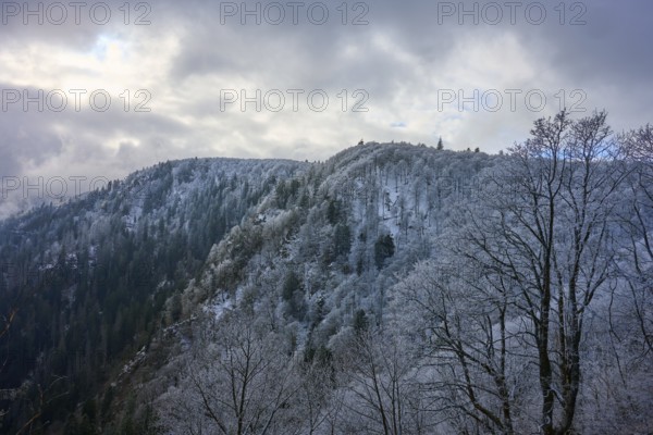 Frost-covered forest hills under partly cloudy winter sky, winter, Col de la Schlucht, Le Valtin,