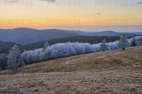 Frozen trees and snow-covered hills under an orange evening sky, winter, Route de Cretes, Hohneck,