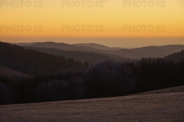 Rolling hills in evening light, silhouettes of trees standing out against the orange sky, winter,