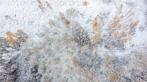 Hankenberge, Hilter am Teutoburger Wald, Lower Saxony, Germany, Bird's eye view of snow-covered
