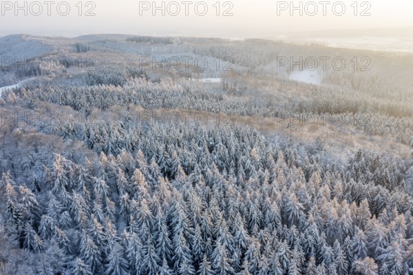 Hankenberge, Hilter am Teutoburger Wald, Lower Saxony, Germany, snowy forest at sunrise, a quiet