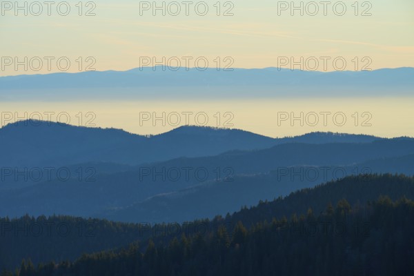 Blue-tinted mountain landscape in morning haze with calm colors, view of the Rhine Valley, Hohneck,
