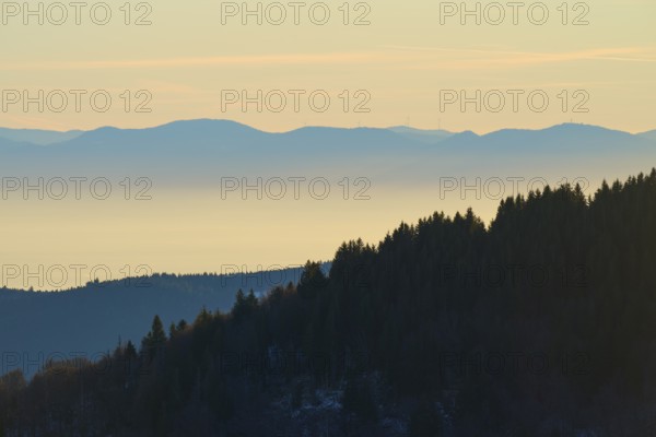 Wooded mountain slopes in morning fog with harmonious colors, view of the Rhine Valley, Hohneck, La