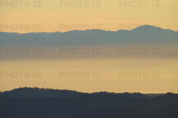 Morning haze over mountain hills in soft colors, looking towards the Rhine Valley, Hohneck, La
