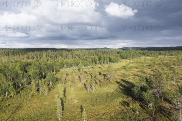 Sodankylä, Lapland, Finland, cloud-covered sky over a vast forest and meadow landscape with light