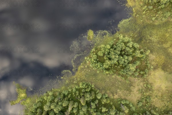 Sodankylä, Lapland, Finland, aerial view of dense vegetation and calm water with cloud shadows,