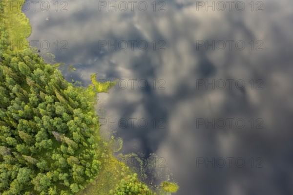 Sodankylä, Lapland, Finland, view from above of shore with trees bordering a cloudy lake, aerial