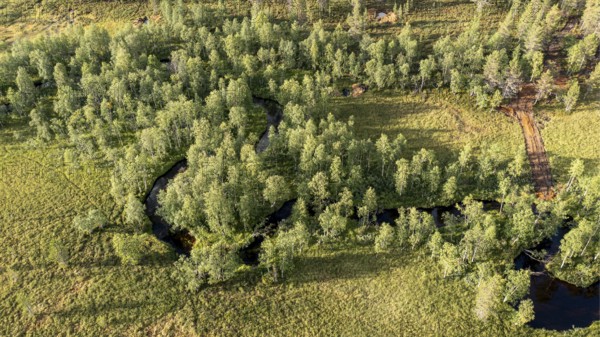 Sodankylä, Lapland, Finland, overview of a curving river surrounded by thick trees, aerial view,