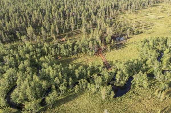 Sodankylä, Lapland, Finland, view from above of a forest with a river and meadows, characterized by