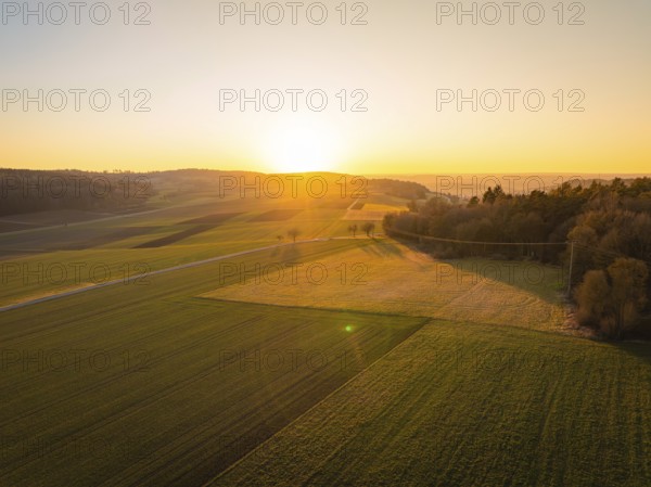 Wide landscape with fields and sunset in the background, calm atmosphere, MG4 electric car, Deer