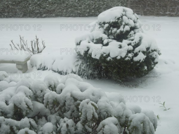 Snow crystals, thick masses of snow outside the window, local garden, snow-covered winter
