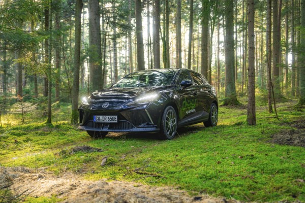 Car in a sun-drenched forest surrounded by trees and green moss, MG4 electric car, Deer