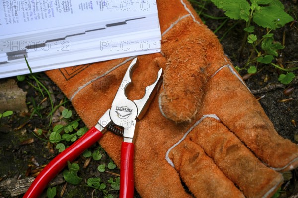 Münsterland, North Rhine-Westphalia, Germany, tools for ringing owls Safety gloves and pliers are